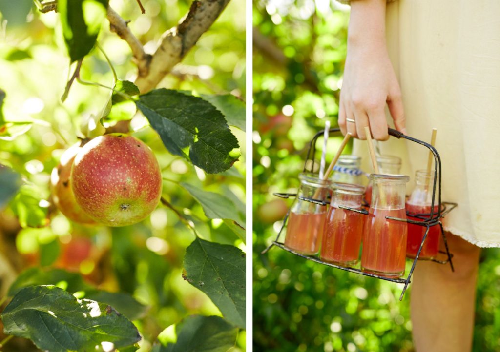 apple fruit and person carrying drinks