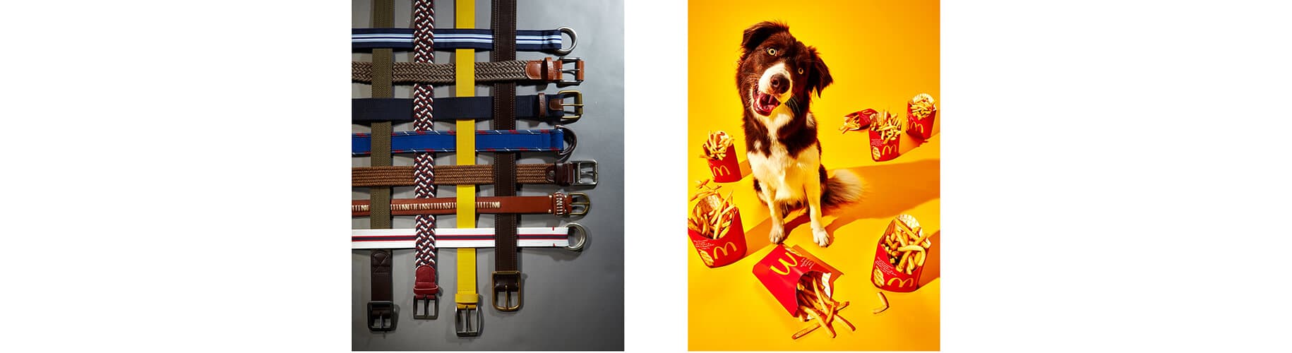 a photo of belts and another photo of a dog surrounded by McDonald's fries