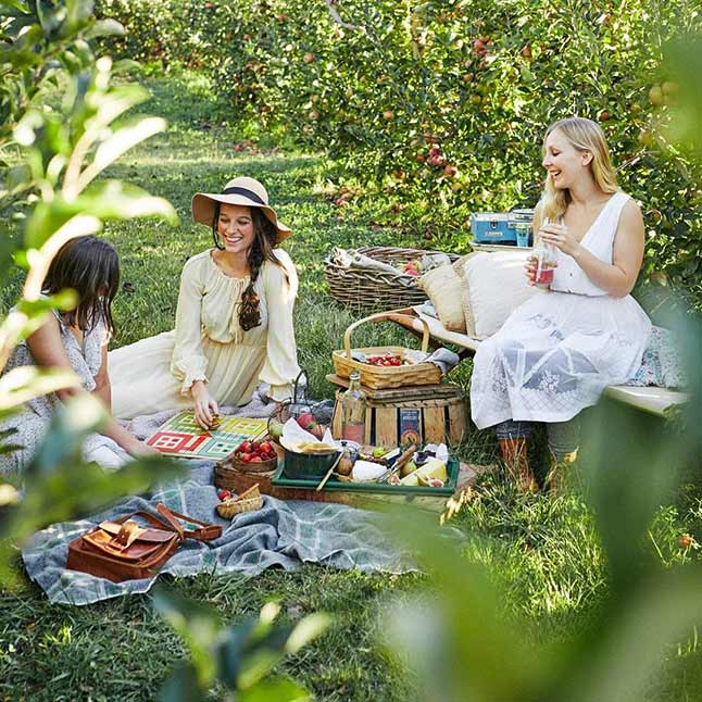 three women enjoying a picnic